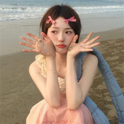 鸟类之战